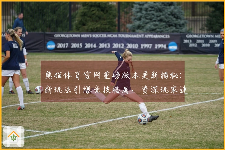 熊猫体育官网重磅版本更新揭秘：新玩法引爆竞技格局，资深玩家速来解锁核心技巧！