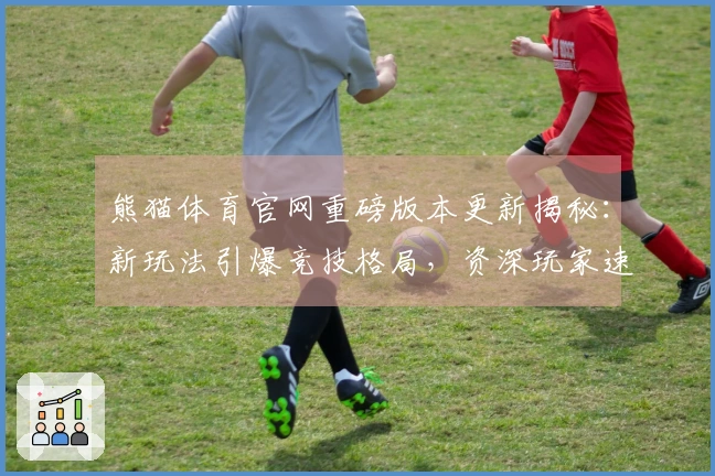 熊猫体育官网重磅版本更新揭秘：新玩法引爆竞技格局，资深玩家速来解锁核心技巧！